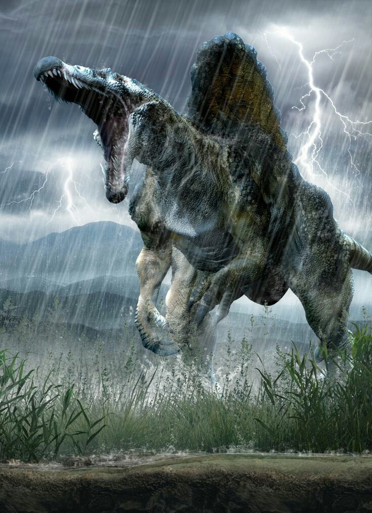 🦖 Spinosaurus: The largest carnivorous dinosaur in history
