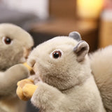 New Fashion Squirrel Plushie
