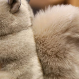 New Fashion Squirrel Plushie