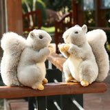 New Fashion Squirrel Plushie Animals Aso
