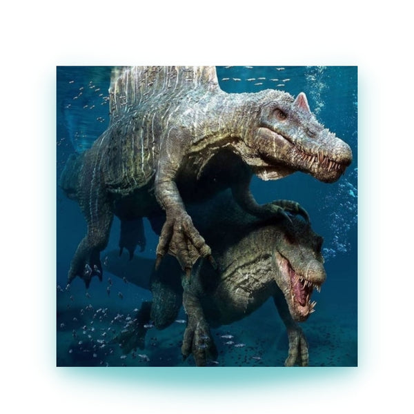 animalsaso02