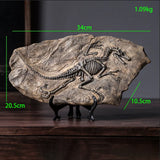 New Simulated Dinosaur Fossil Model Resin - animalsaso02