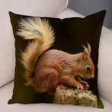New Cute Squirrel Cushion Cover Pillowcase - animalsaso02