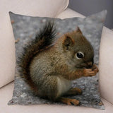 New Cute Squirrel Cushion Cover Pillowcase - animalsaso02