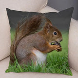 New Cute Squirrel Cushion Cover Pillowcase - animalsaso02