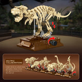 Fashion Mini Dinosaur Fossil Skeleton Animals Aso