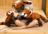 New Cute Red Raccoon Plush Toy Animals-Aso