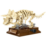 Fashion Mini Dinosaur Fossil Skeleton Animals Aso