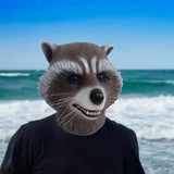 New Cute Raccoon Mask