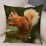 New Cute Squirrel Cushion Cover Pillowcase - animalsaso02
