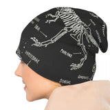 New Cute Dinosaur Fossils Beanies-Animals Aso