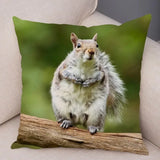 New Cute Squirrel Cushion Cover Pillowcase - animalsaso02