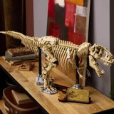 New Amazing Dinosaur Fossil Skeleton Animals Aso