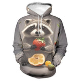 New Cute Animal Raccoon Sweatshirts Animals Aso
