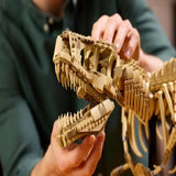 New Amazing Dinosaur Fossil Skeleton Animals Aso