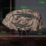 New Simulated Dinosaur Fossil Model Resin - animalsaso02