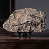 New Simulated Dinosaur Fossil Model Resin Animals Aso