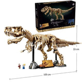 New Amazing Dinosaur Fossil Skeleton Animals Aso