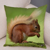New Cute Squirrel Cushion Cover Pillowcase - animalsaso02