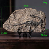 New Simulated Dinosaur Fossil Model Resin - animalsaso02
