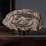 New Simulated Dinosaur Fossil Model Resin - animalsaso02