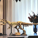 New Amazing Dinosaur Fossil Skeleton Animals Aso