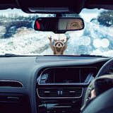 New Fashion Raccoon Car Keychain Animals Aso