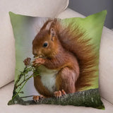New Cute Squirrel Cushion Cover Pillowcase - animalsaso02