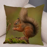 New Cute Squirrel Cushion Cover Pillowcase - animalsaso02