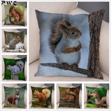 New Cute Squirrel Cushion Cover Pillowcase Animals Aso