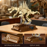 Fashion Mini Dinosaur Fossil Skeleton Animals Aso