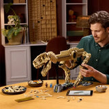 New Amazing Dinosaur Fossil Skeleton Animals Aso