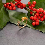 New Fashion Squirrel Ring Animals Aso