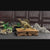 Brass Solid Jurassic Dinosaur Animals-Aso