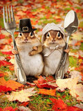 New Squirrel Art Home Decor - Animals Aso