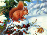 New Squirrel Art Home Decor - Animals Aso