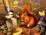 New Squirrel Art Home Decor - Animals Aso