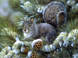 New Squirrel Art Home Decor - Animals Aso