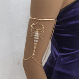 2022 New Scorpion Bracelet - Animals Aso