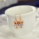 2022 New Amazing Owl Earrings - Animals Aso