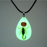 New Amazing Scorpion Necklace Luminous - animalsaso02