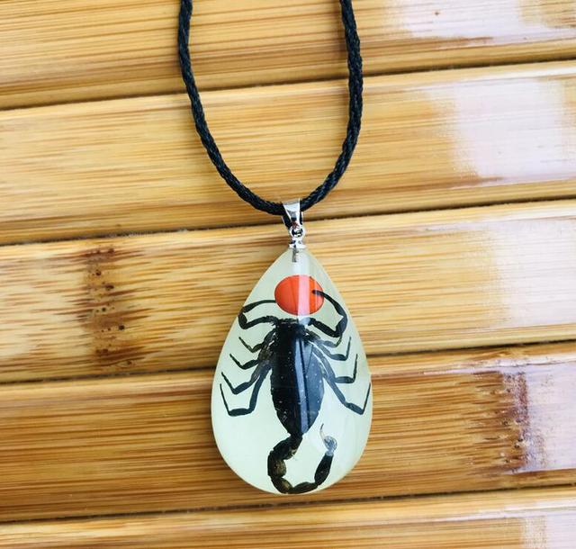 New Amazing Scorpion Necklace Luminous - Animals Aso