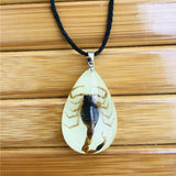 New Amazing Scorpion Necklace Luminous - Animals Aso