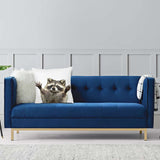 New Amazing Raccoon Pillowcase - animalsaso02