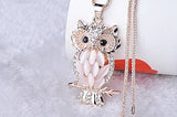 Fashion Owl  Necklace - animalsaso02