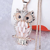 Fashion Owl  Necklace - animalsaso02