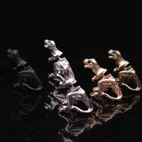 New Amazing Dinosaur Earrings - animalsaso02